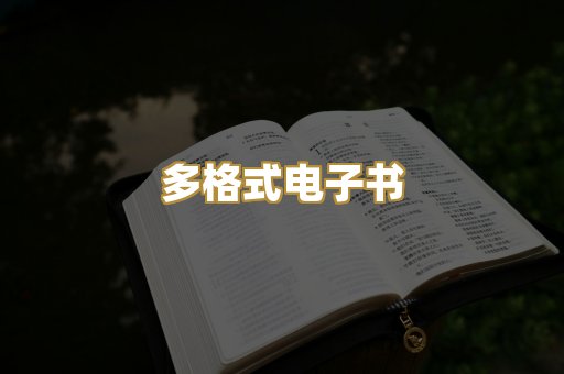 多格式电子书